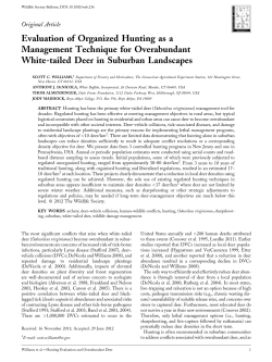 Evaluation of organized hunting as a management technique for