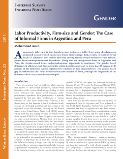 Labor Productivity, Firm-size and Gender