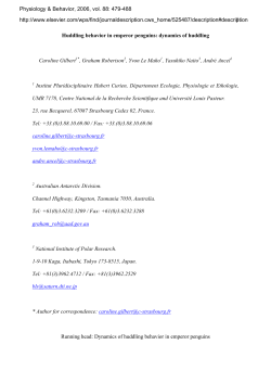 Huddling behavior in emperor penguins