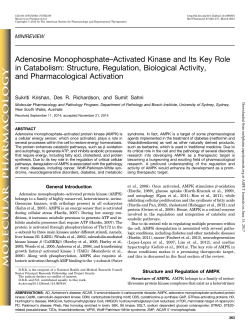 Adenosine Monophosphate-Activated Kinase and Its Key Role in