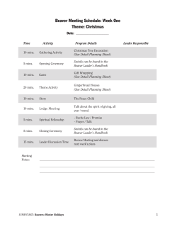 Beaver Meeting Schedule: Week One Theme: Christmas