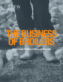 The Business of Broilers - The Pew Charitable Trusts