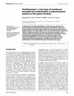Pirellulosomes: a new type of membrane= bounded cell
