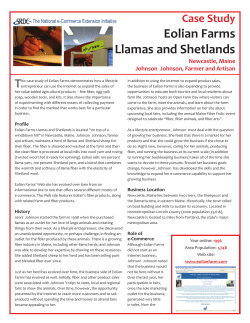 Eolian Farms Llamas and Shetlands