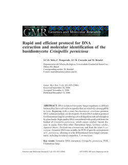 Rapid and efficient protocol for DNA extraction and molecular