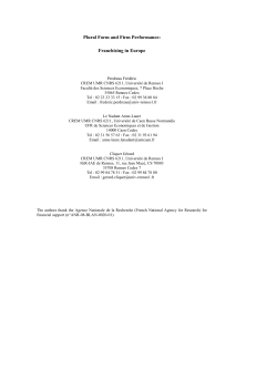 Plural Form and Firm Performance: Franchising in Europe