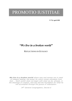 &ldquo;We live in a broken world&rdquo; &ndash; Reflections on Ecology