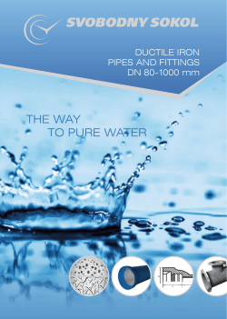 DUCTILE IRON PIPES AND FITTINGS DN 80