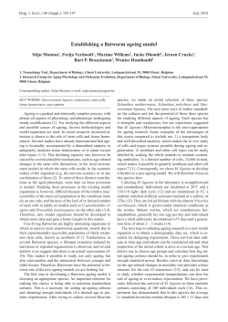 Establishing a flatworm ageing model
