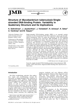 Structure of Mycobacterium tuberculosis Single