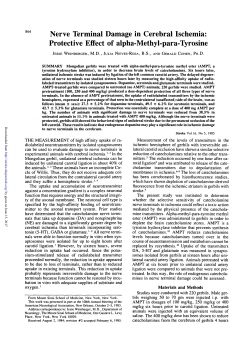 Nerve Terminal Damage in Cerebral Ischemia
