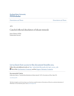 Catechol effected dissolution of silicate minerals