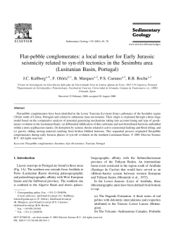 Flat-pebble conglomerates