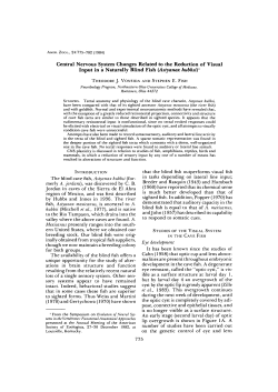 Central Nervous System Changes Related to the Reduction of