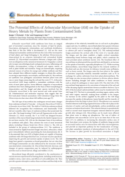 Peer-reviewed Article PDF