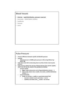 Blood Vessels Pulse Pressure