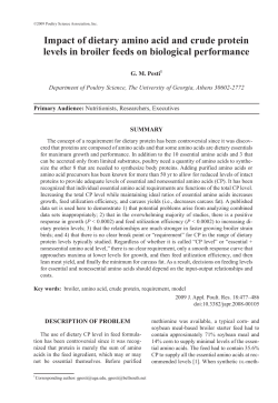 Impact of dietary amino acid and crude protein levels in broiler feeds