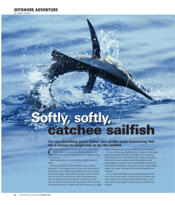 catchee sailfish Softly, softly,