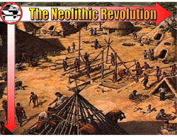 The Neolithic / Agricultural Revolution