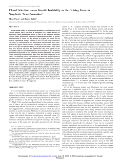 Clonal Selection versus Genetic Instability as the