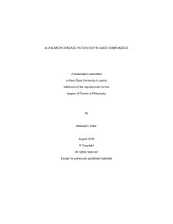 ALZHEIMER`S DISEASE PATHOLOGY IN AGED CHIMPANZEES A