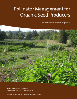 Pollinator Management for Organic Seed Producers