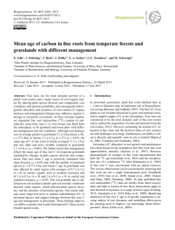 Mean age of carbon in fine roots from temperate