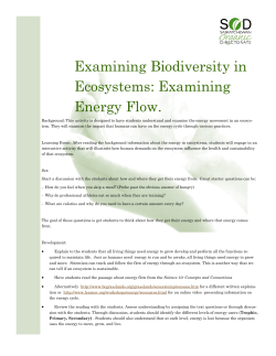 Unit 4 - Food Miles Campaign