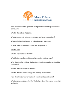 Here are the essential questions that guide the seventh grade