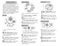 Edible containers From the East Shade treats Fruit Salad American