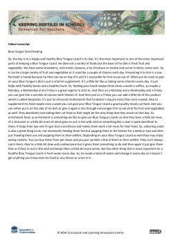 Text version