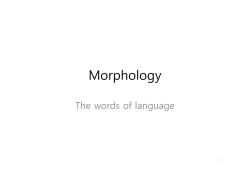 Morphology