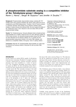 A phosphoramidate substrate analog is a competitive inhibitor of the