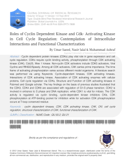Roles of Cyclin Dependent Kinase and Cdk