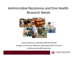 full presentation here