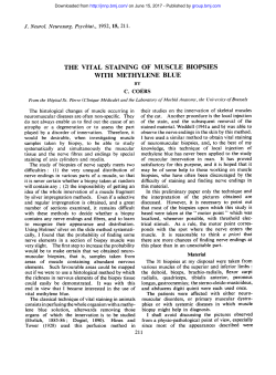 the vital staining of muscle biopsies with methylene blue
