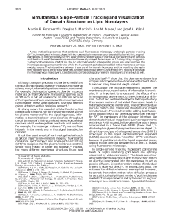 Simultaneous Single-Particle Tracking and Visualization of Domain