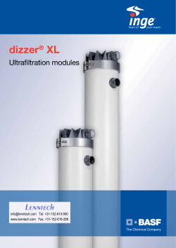 dizzer&reg; XL