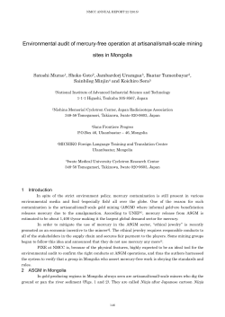 Environmental audit of mercury-free operation at artisanal/small
