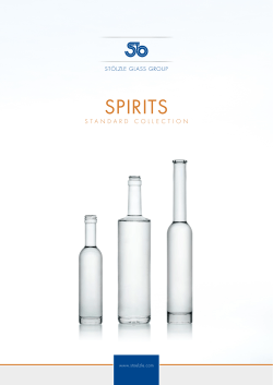 Spirits standards flyer