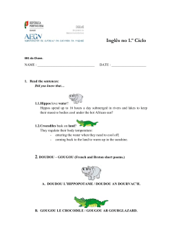 Ingl&ecirc;s no 1.&ordm; Ciclo