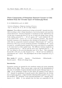 Three Components of Potassium Outward Current in Cells Isolated