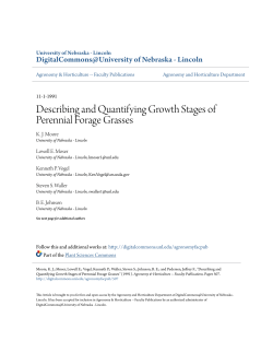 Describing and Quantifying Growth Stages of Perennial Forage