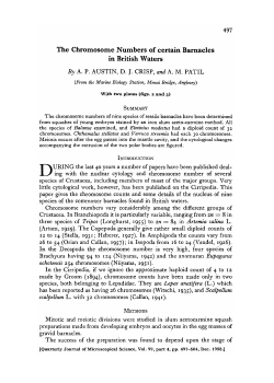 The Chromosome Numbers of certain Barnacles in British Waters