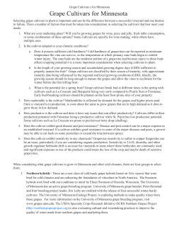 Grape Cultivars for Minnesota - Minnesota Grape Growers Association