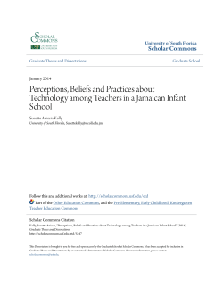 Perceptions, Beliefs and Practices about Technology among