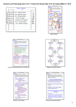 Anatomy and Physiology Sem 2 Ch 11 Endocrine System May 19 to