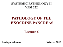 pathology of the exocrine pancreas