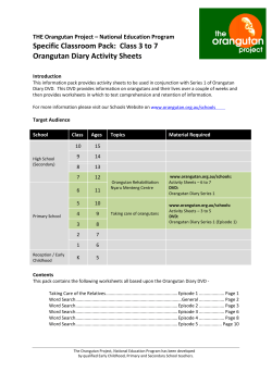 Activity Worksheet - Orangutan Diary