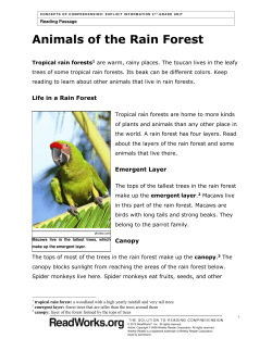 Animals of the Rain Forest